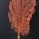 Red Gorgon, brass base, late nineteenth