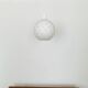 Set of 2 Como Pendant Lamps by Aloys Gangkofner for Peill and Putzler