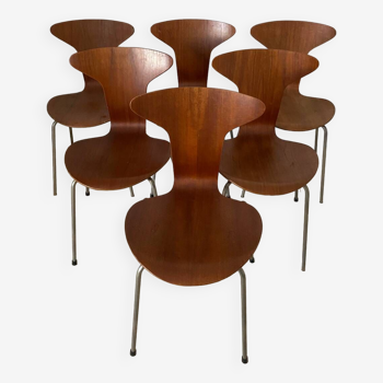 Lot 6 chaises Arne Jacobsen Mosquito