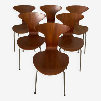 Set of 6 Arne Jacobsen Mosquito chairs