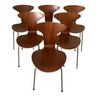 Set of 6 Arne Jacobsen Mosquito chairs