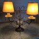 Antique brass lamp with 2 branches