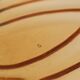 Orange Amber Art Deco Cake Plate Pastry Dish Val Saint Lambert