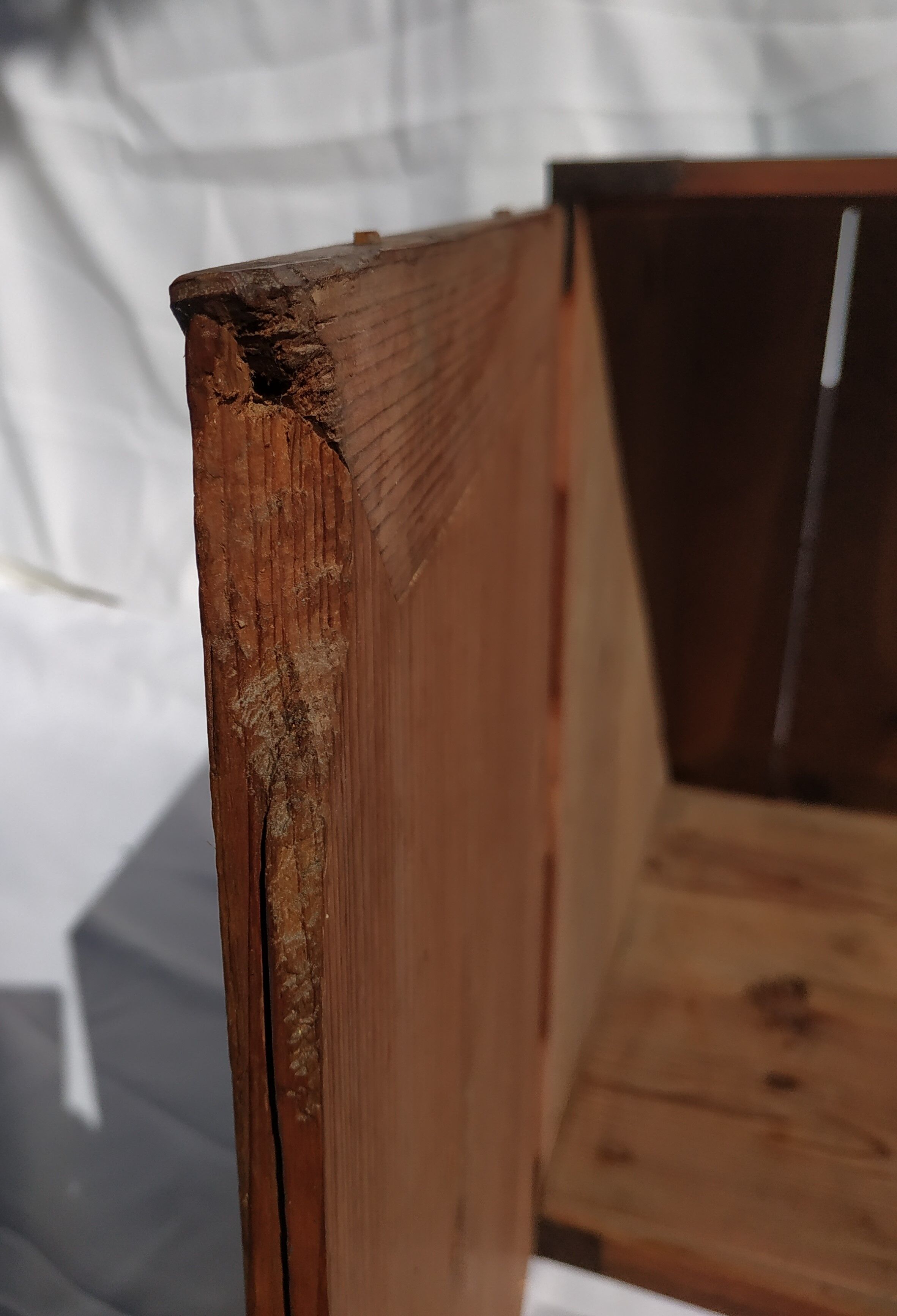 Bottom box Japan 19th second half 19th