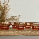 6 Rosaline champagne glasses