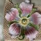 Large clematis slip pocket emptier