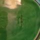 Green earthenware leaf dish – Sarreguemines France, circa 1955