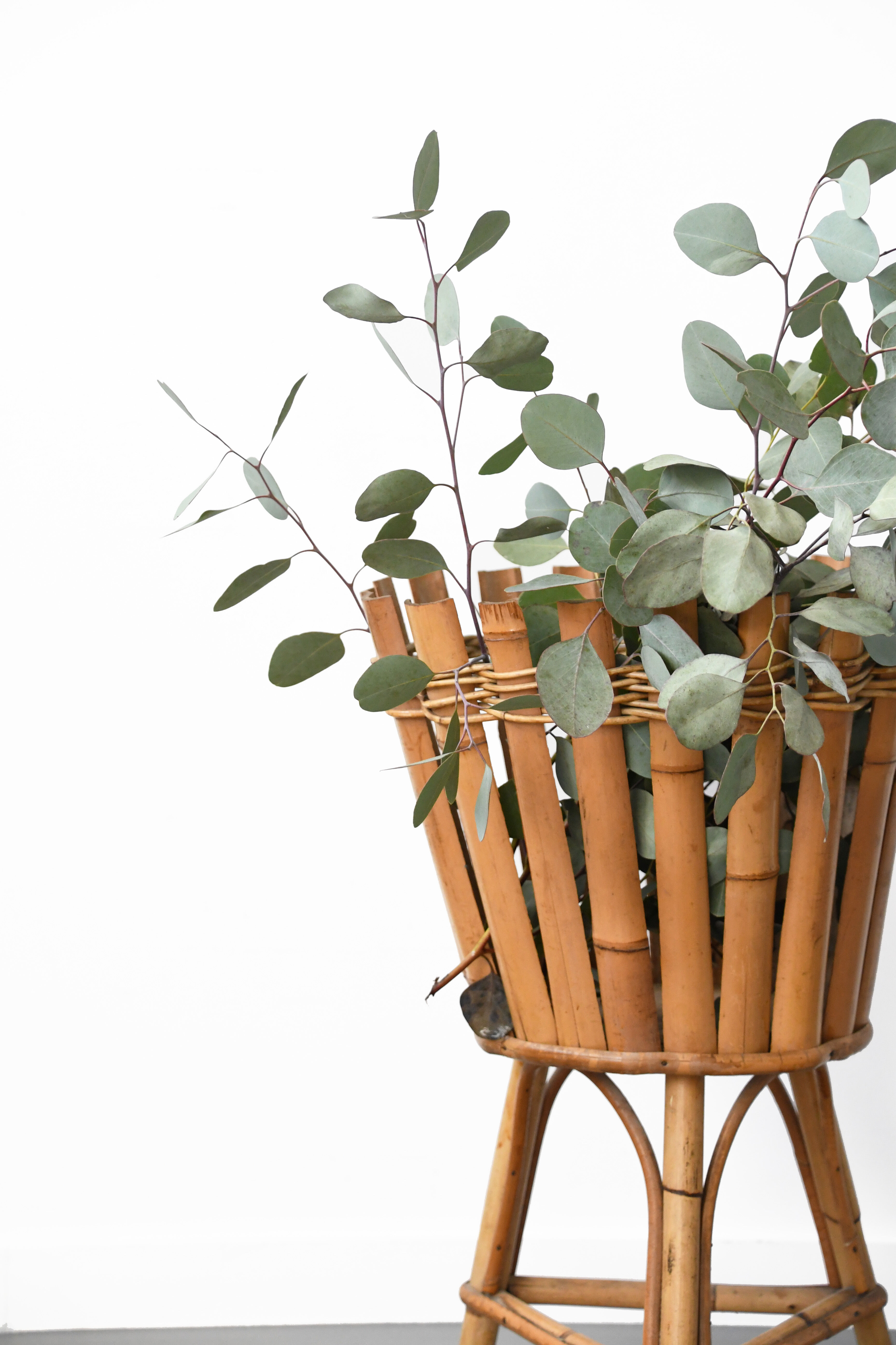 Bamboo/rattan plant holder