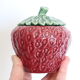 Ceramic strawberry candy