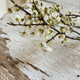 Small side table with an antique finish