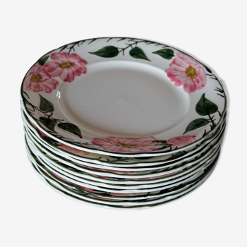 Lot 10 assiettes Villeroy & Boch collection Wild-Rose