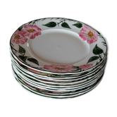 Lot 10 plates Villeroy & Boch Wild-Rose collection