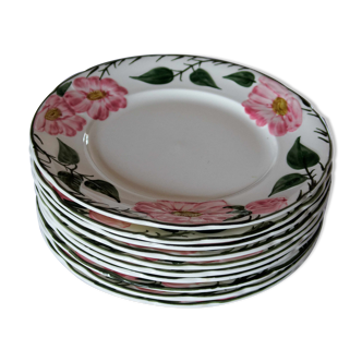 Lot 10 assiettes Villeroy & Boch collection Wild-Rose