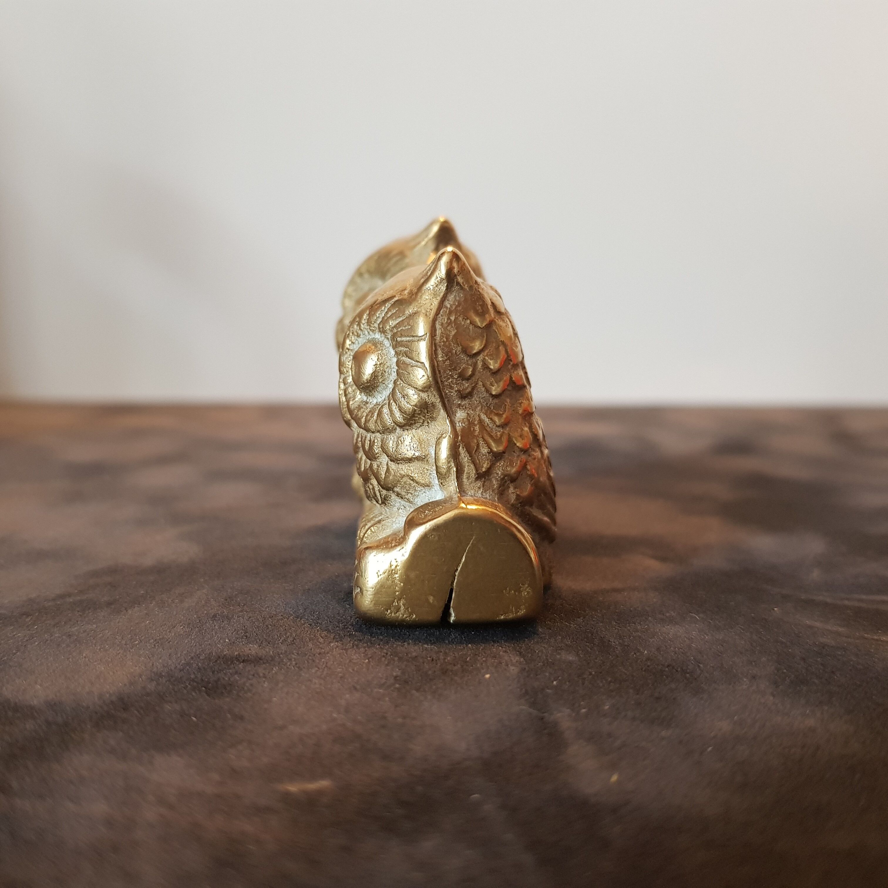 Couple de chouette et hibou aiton
