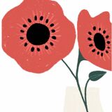 The poppy - a4 illustration