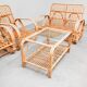 Vintage Rattan Lounge Set