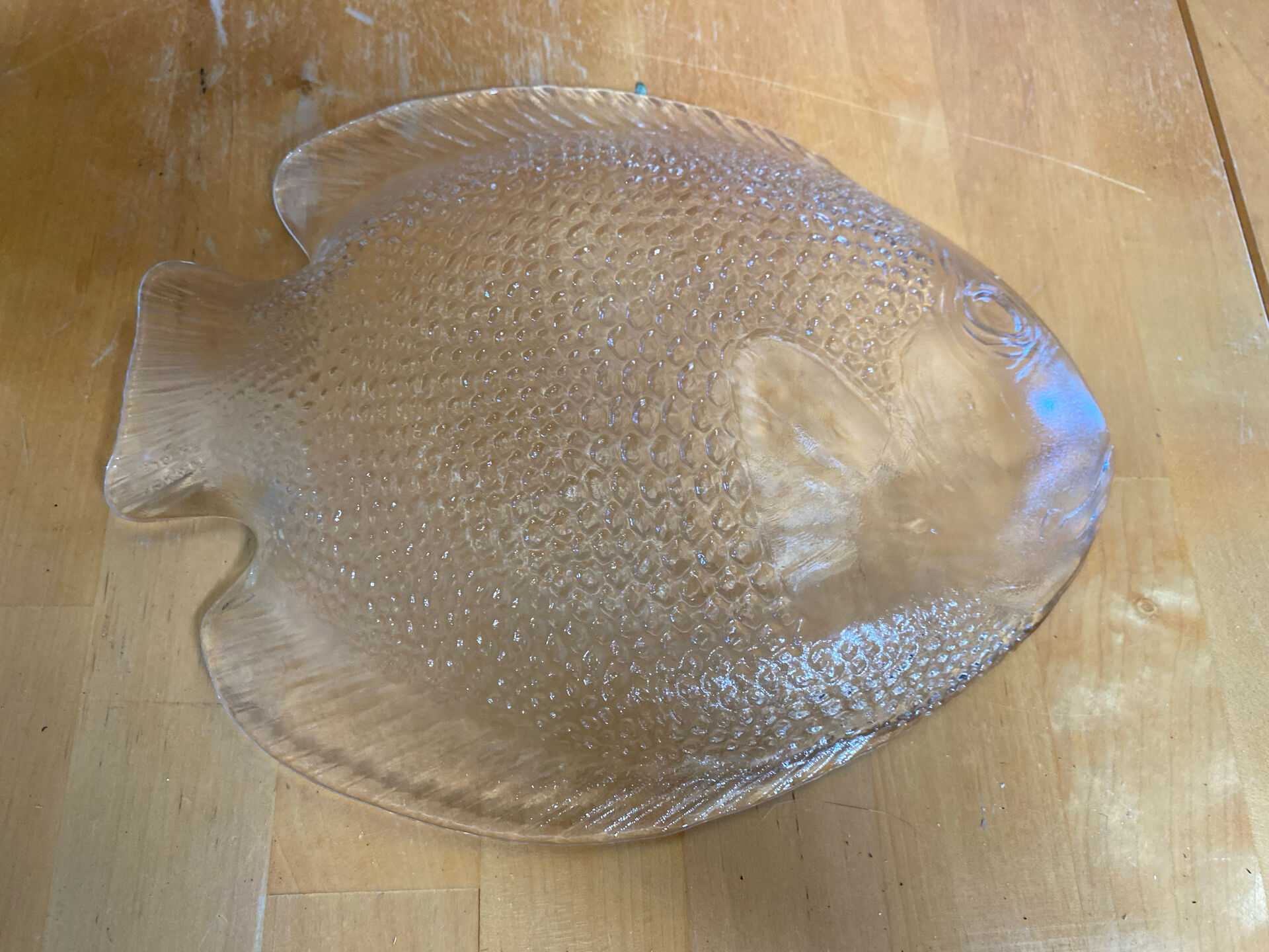 Plate + 5 ARCOROC Fish Shape Glass Mould Plates + Vintage Box #