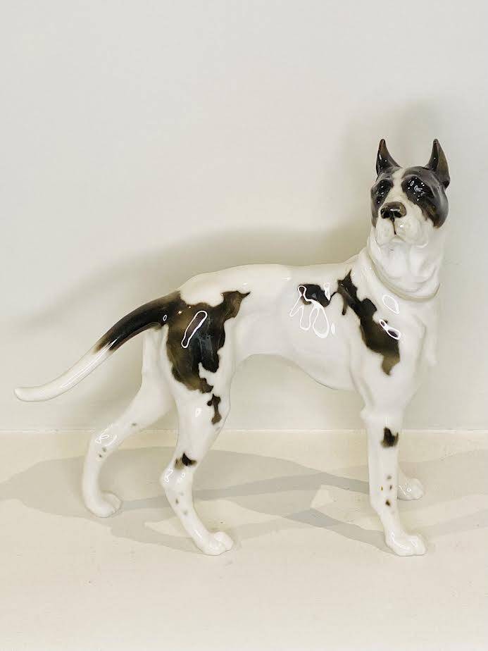 Great Dane