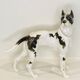 Great Dane