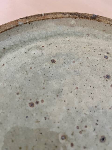 Set of 12 stoneware dinner plates