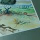 Tableau , aquarelle paysage provencal