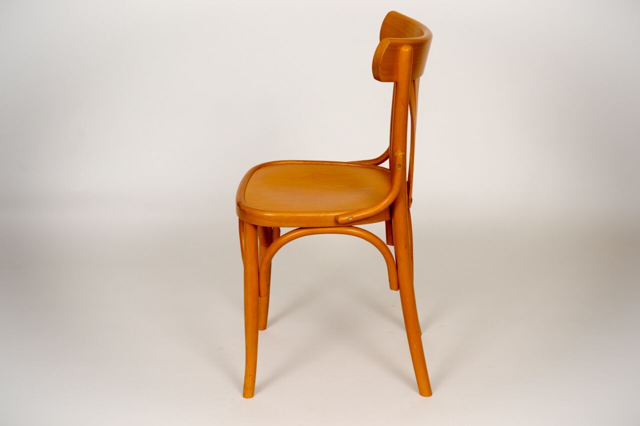 Bistro chair palm tree backrest, natural beech varnished