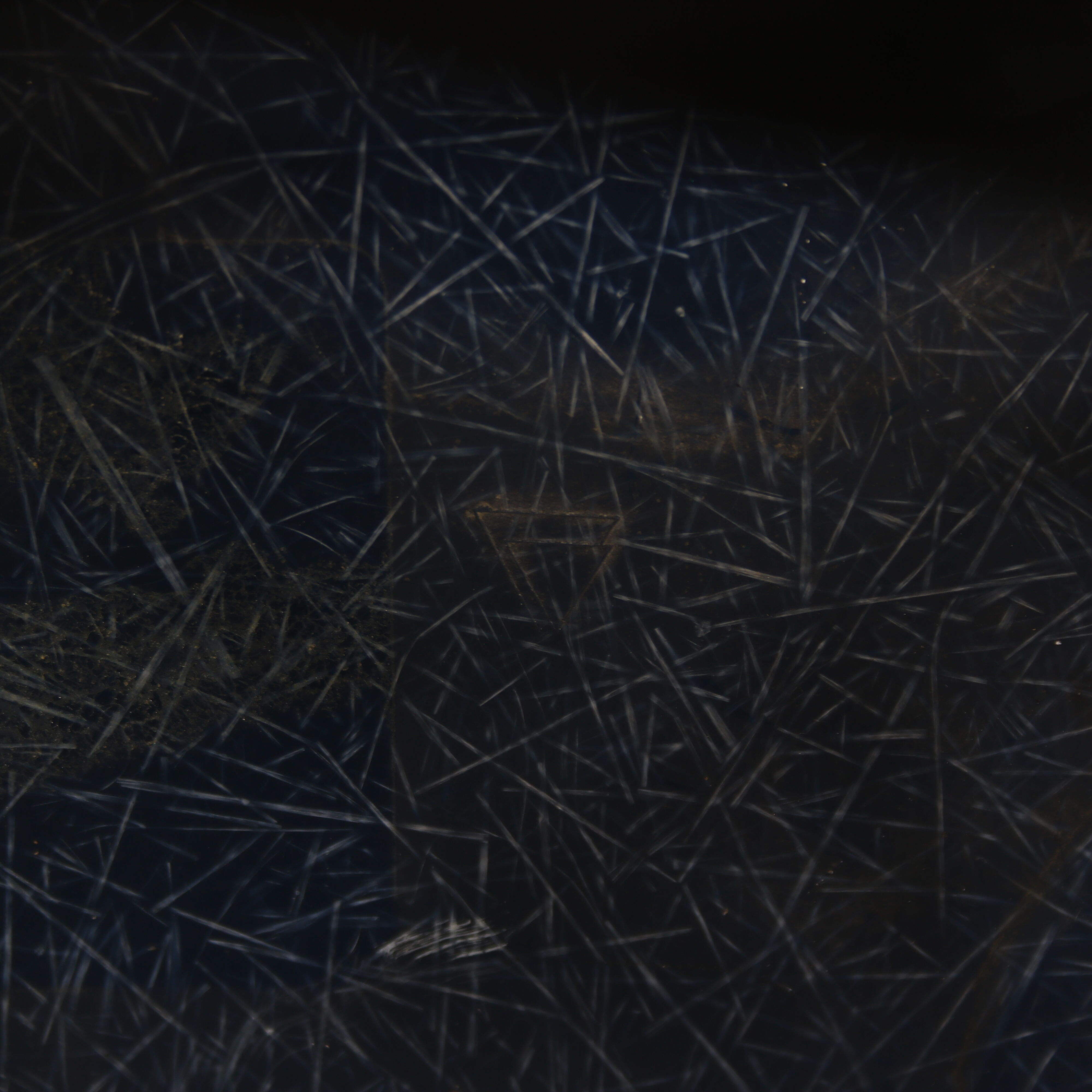 1970s Fiberglass chair by Charles & Ray Eames for Herman Miller, USA