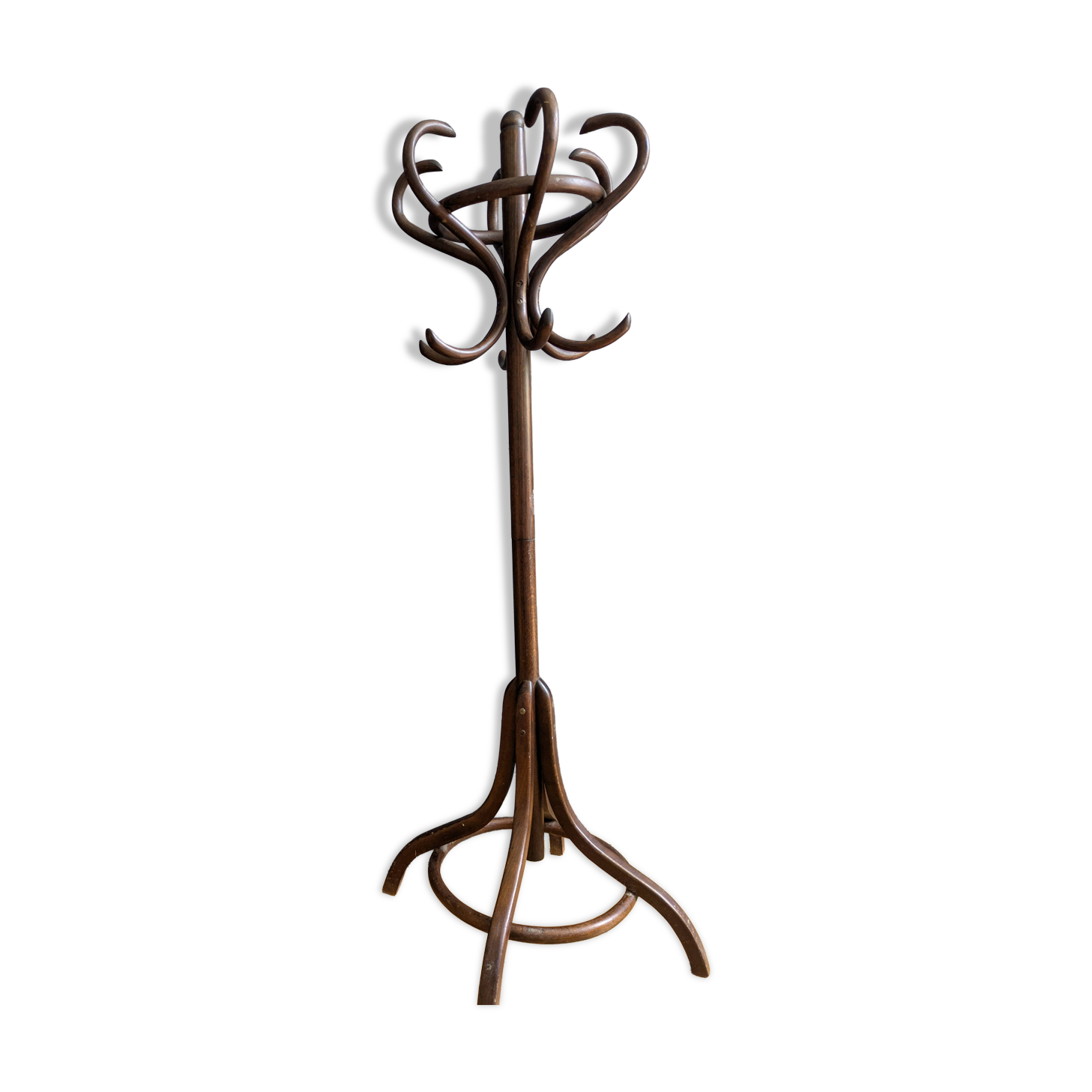 Parrot coat rack for a child's room attributed to Thonet.