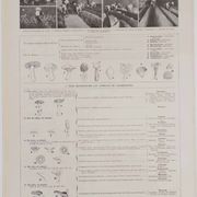 Planche botanique originale "Champignons II" de 1929