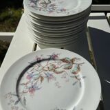 12 Dessert plates + presentation plate