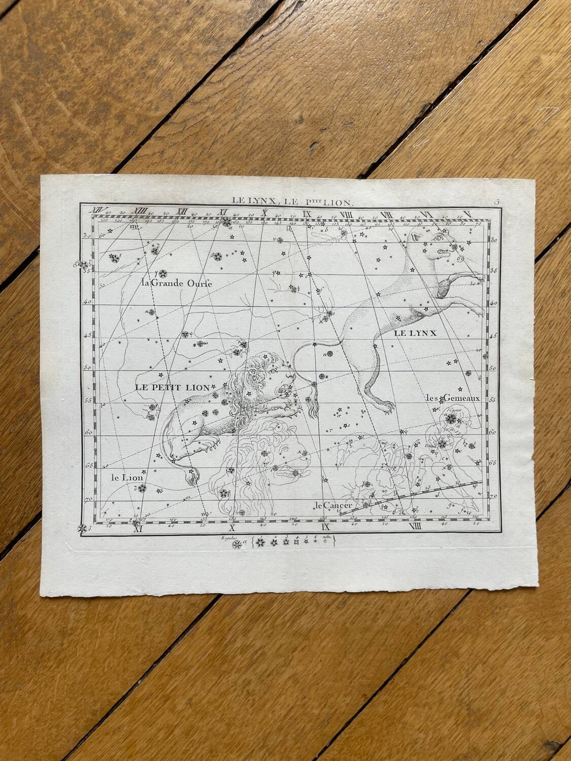The Lynx and the Little Lyon - Astrology plate 1795