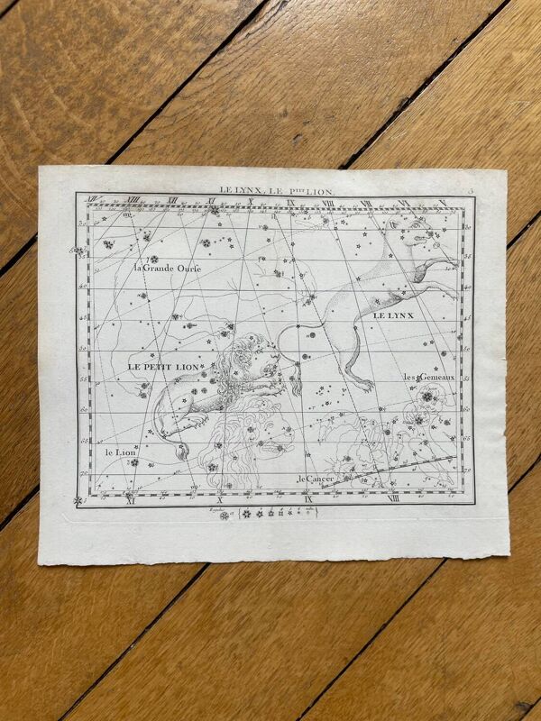 Le Lynx et le Petit Lyon - Planche d’astrologie 1795