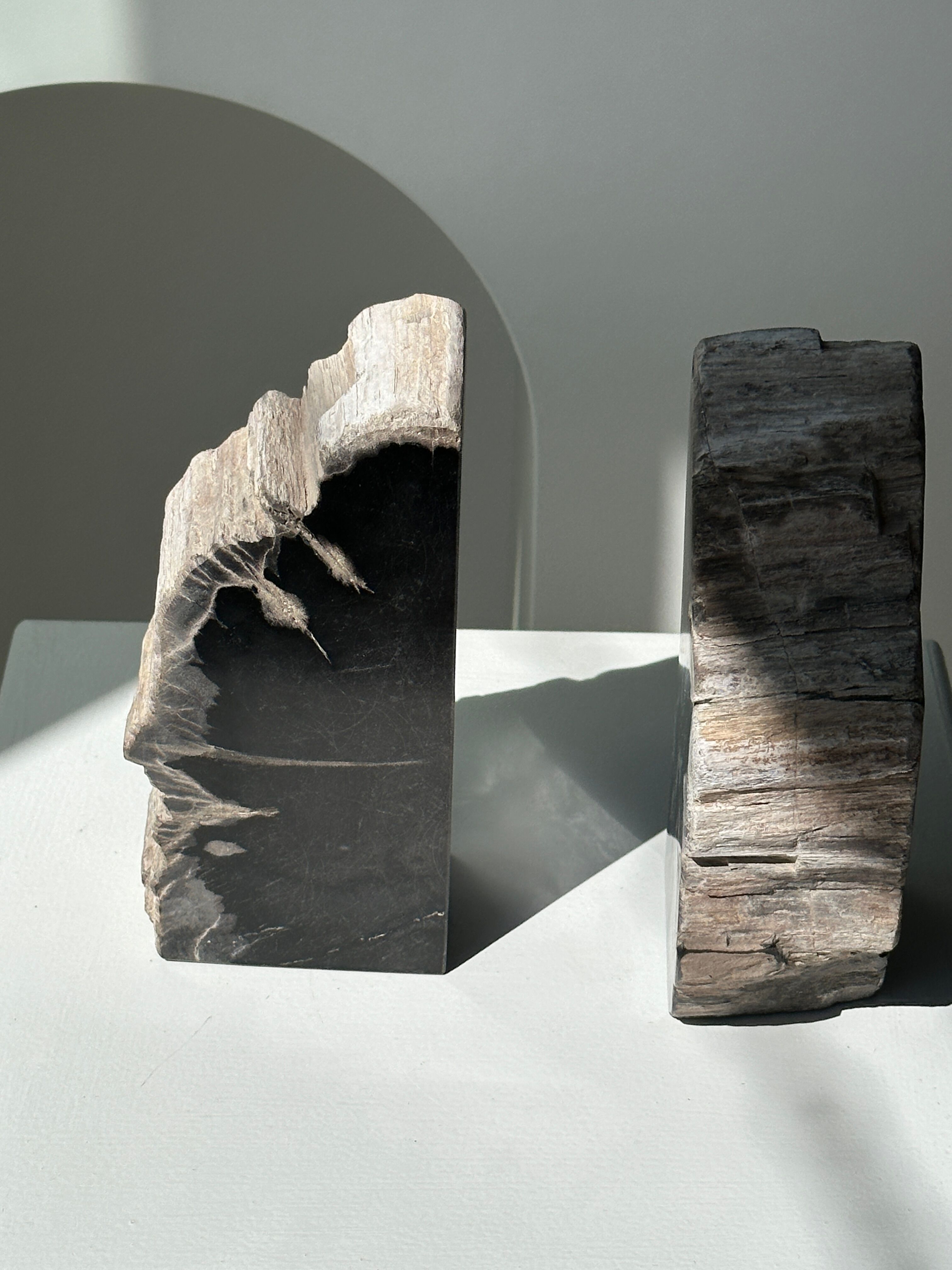Black petrified wood bookend H17 L17 P6