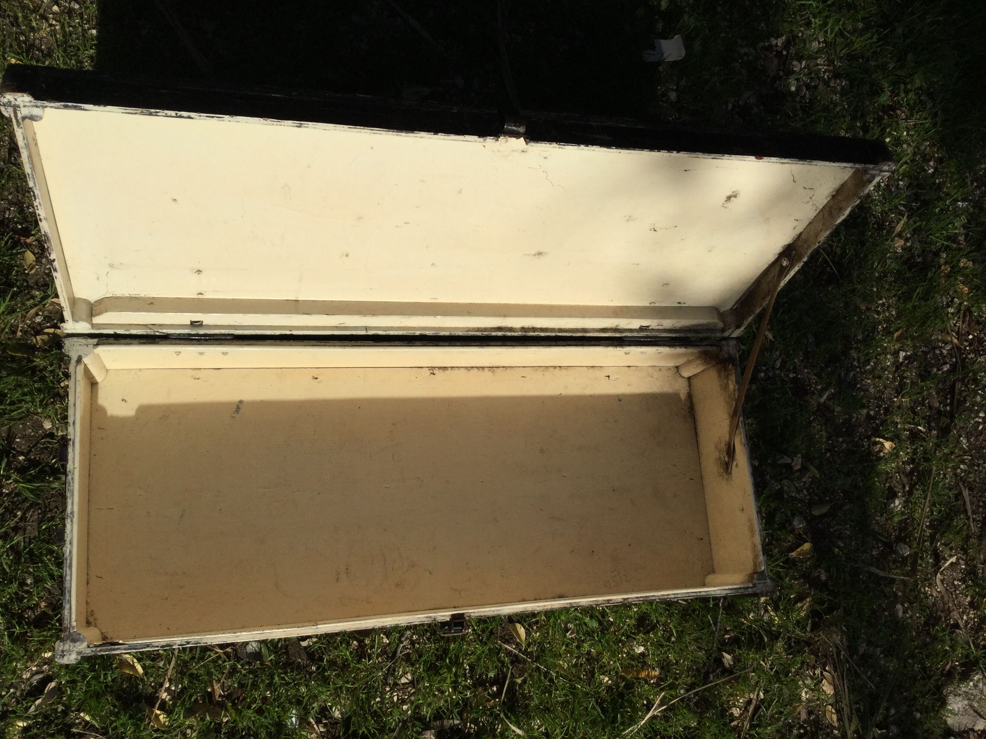 Painted home suit trunk