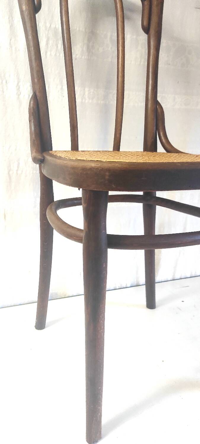 Bistro chair in curved wood and canework - early 20th century