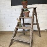 Removable painter's stepladder