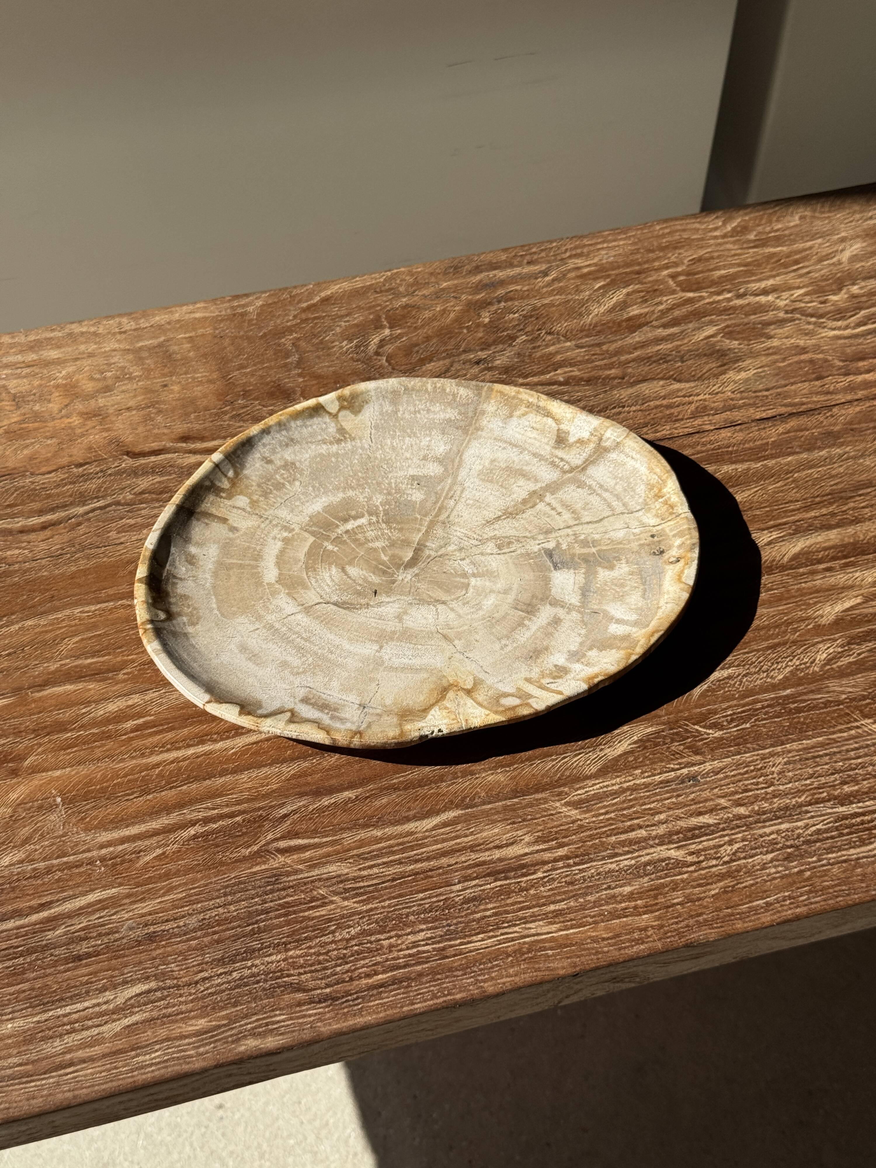Small oval beige petrified wood dish or tray with speckled edges.