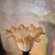 Mazda wooden lamp 1940 Murano tulip 60x45 very good condition