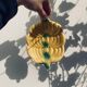 Vide poche fruit Barbotine