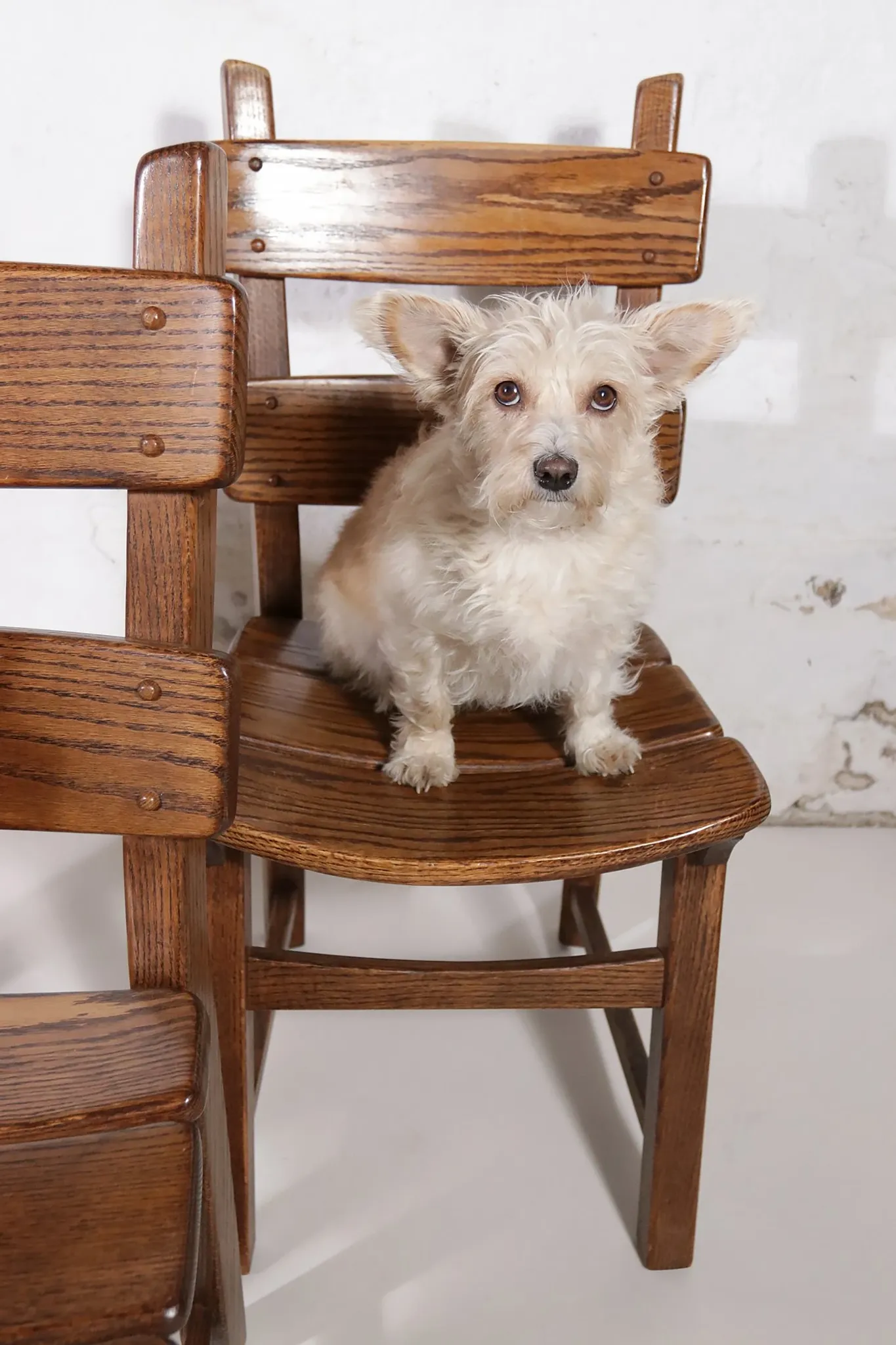 Set of 4 brutalist oak ladderback dining chairs – Netherlands, 1970s
