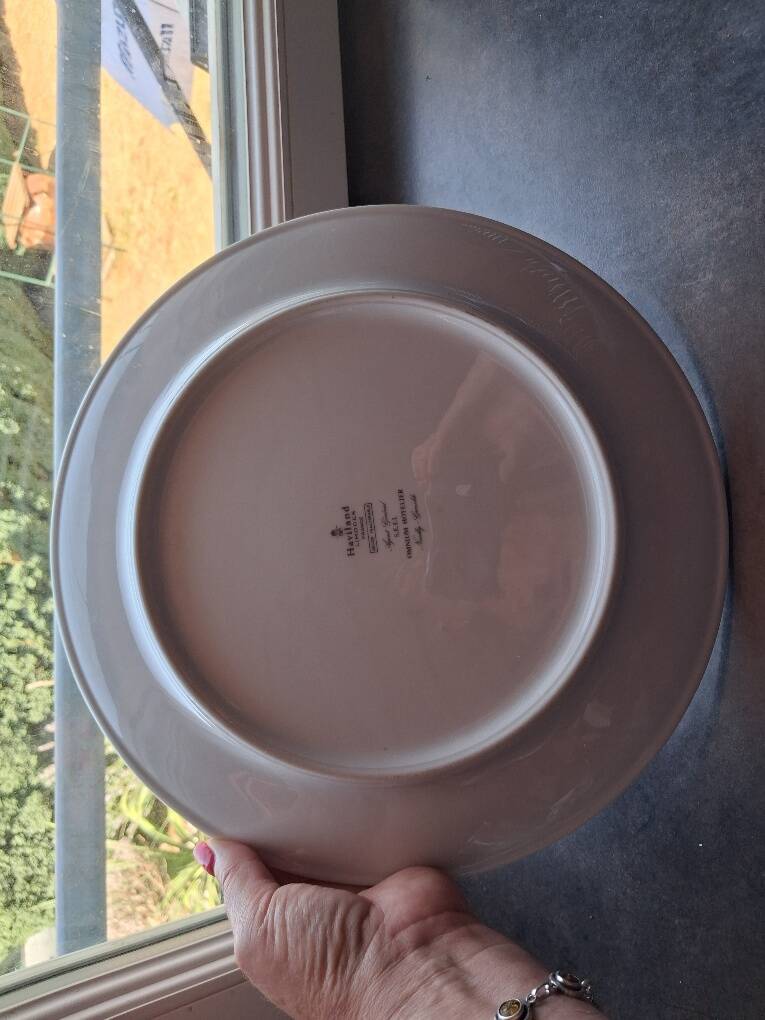 Magnificent Haviland Limoges dish