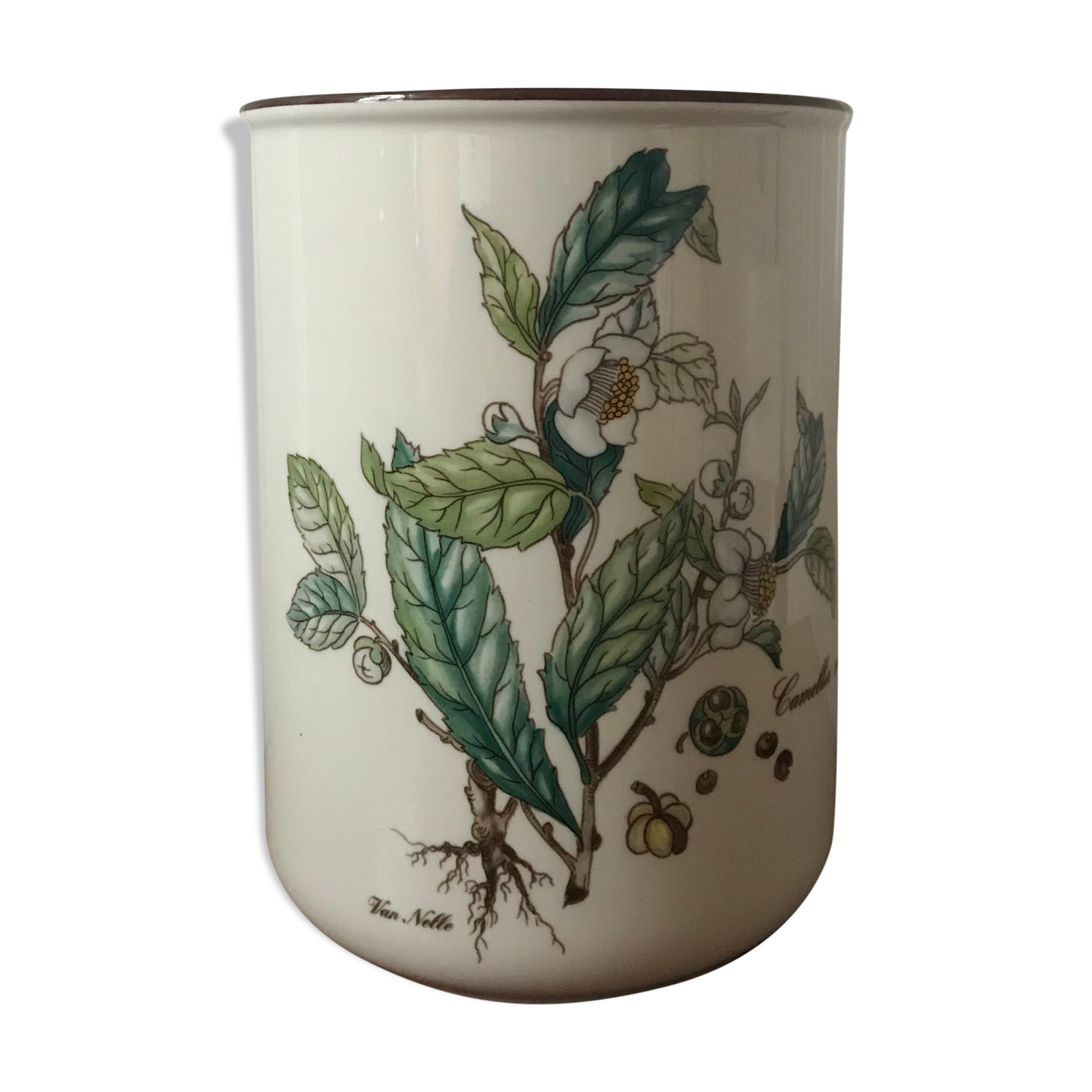 Villeroy - Boch Botanica