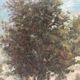 Mid 20th Century French Farmhouse Landscape Oil Painting on Board