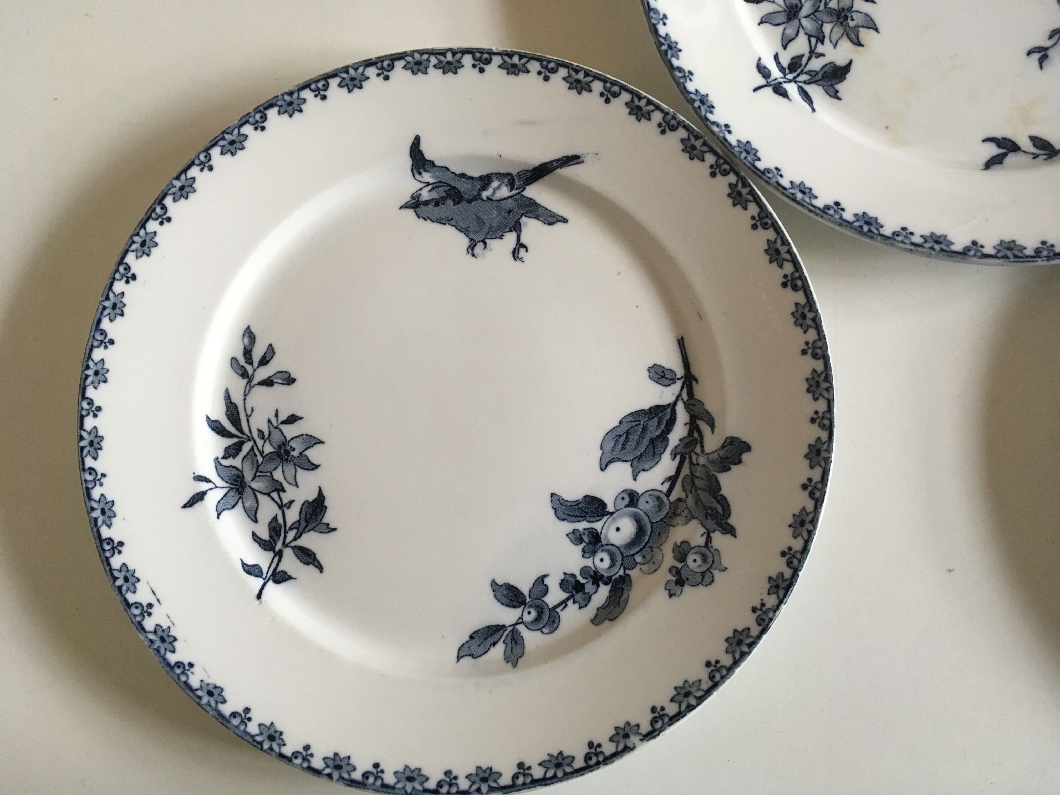 Plates Sarreguemines Hummingbird Earth 19th end railway