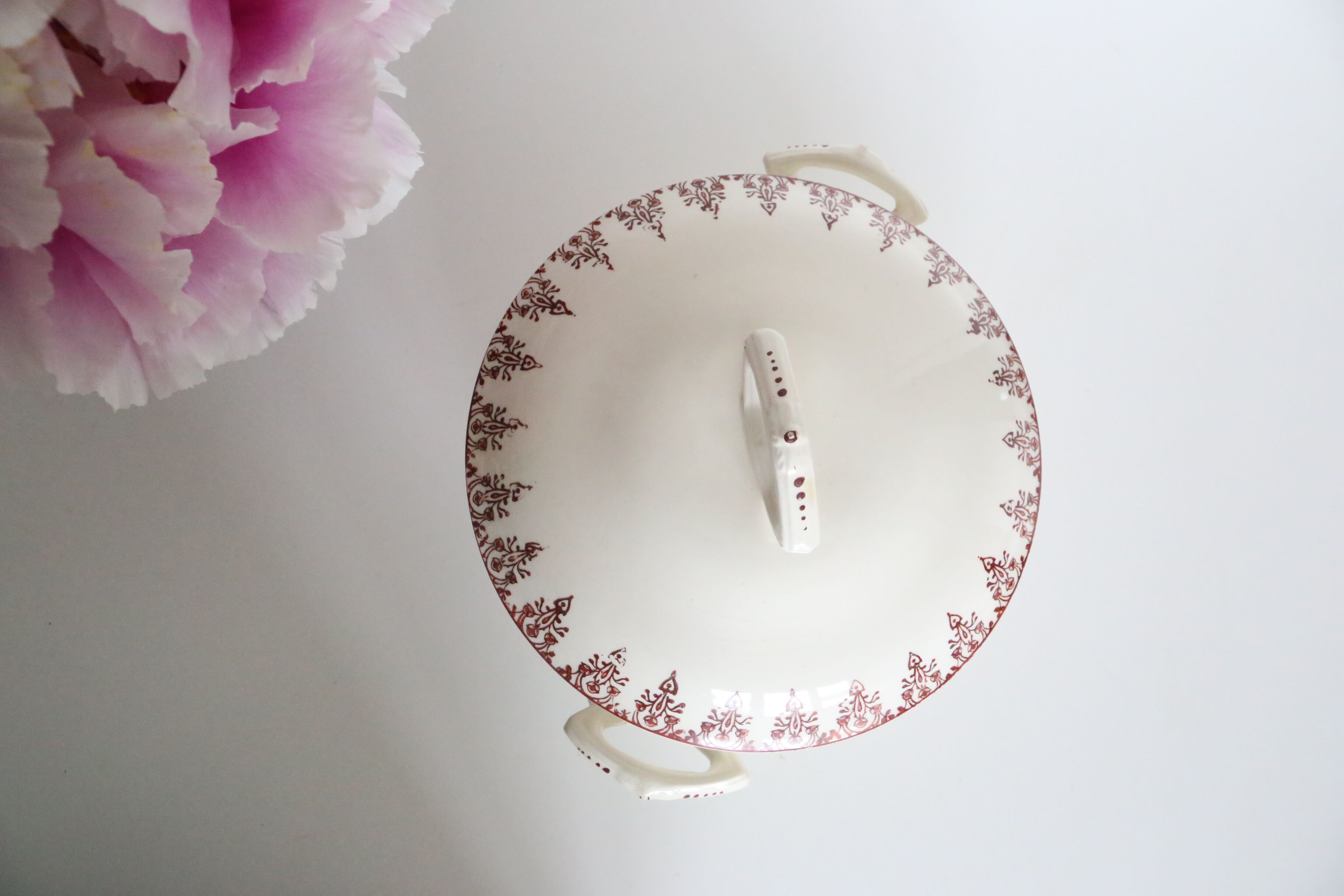 Pretty Red Iron Earth soup