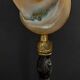 Cabinet of Curiosities pearly shell turbo imperialis on base