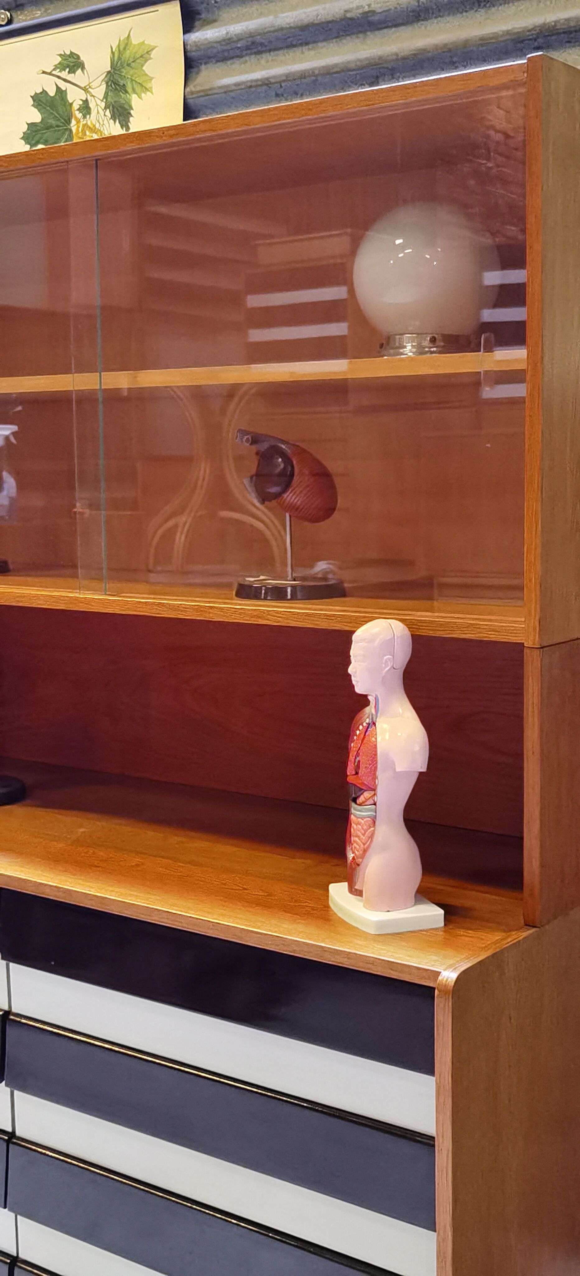 Library U 453 by Jiri Jiroutek for Interior Praha Foot Compass 1960