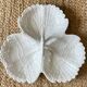 White earthenware plate