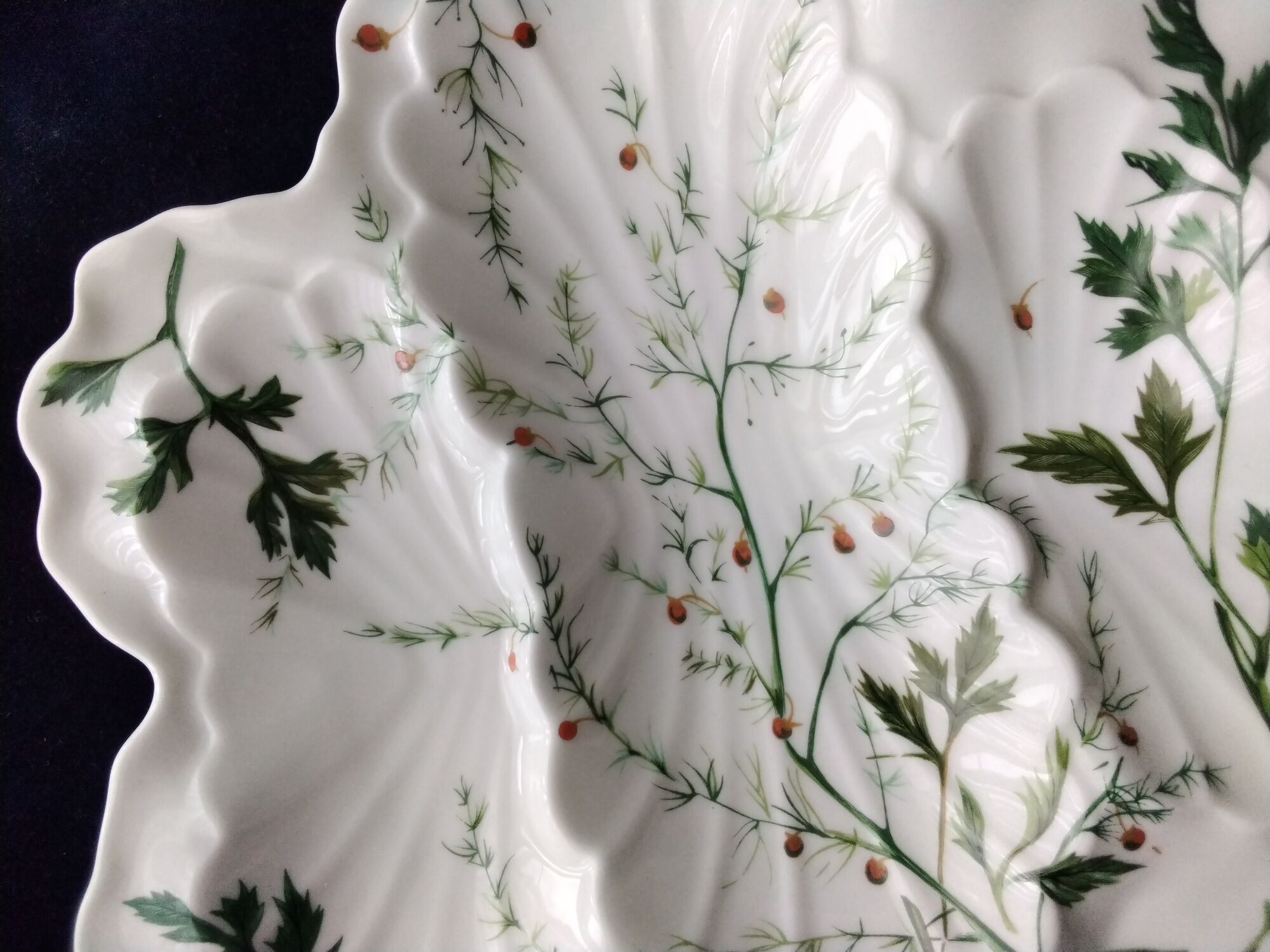 Compartmented bowl in Limoges porcelain. Aromatic plant decor