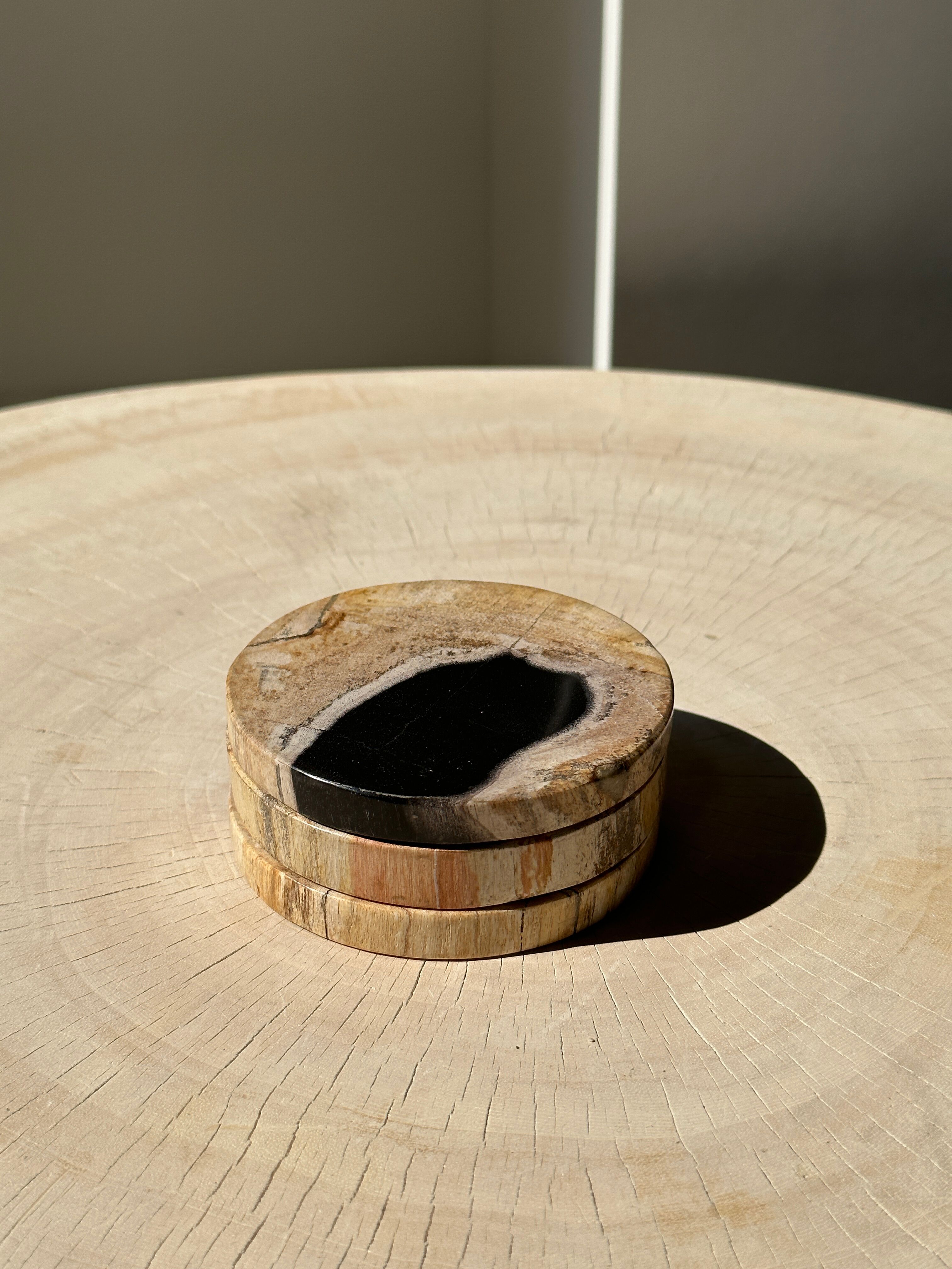 Set of 3 fossilized wooden coasters (clear)